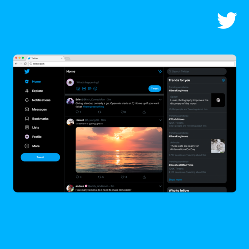 Musk Says Twitter Will Support Long Articles 
