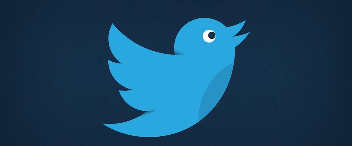 How Twitter Is Used for Linguistic Research 